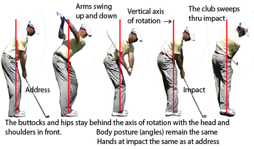 auteur Rendezvous Pélagique the correct golf swing algue célèbre arracher